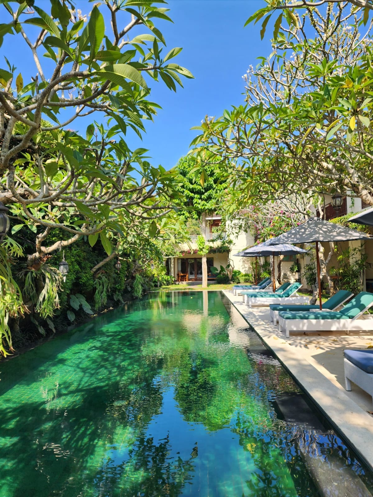 Sapodilla Ubud — Bali 80571